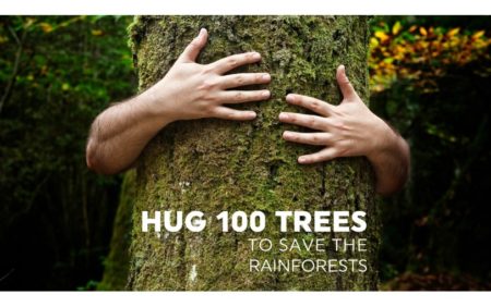 I’m hugging 100 trees for Rainforest Trust UK!